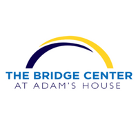 Bridge Center Web